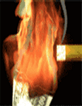 pic for Fire  170x220